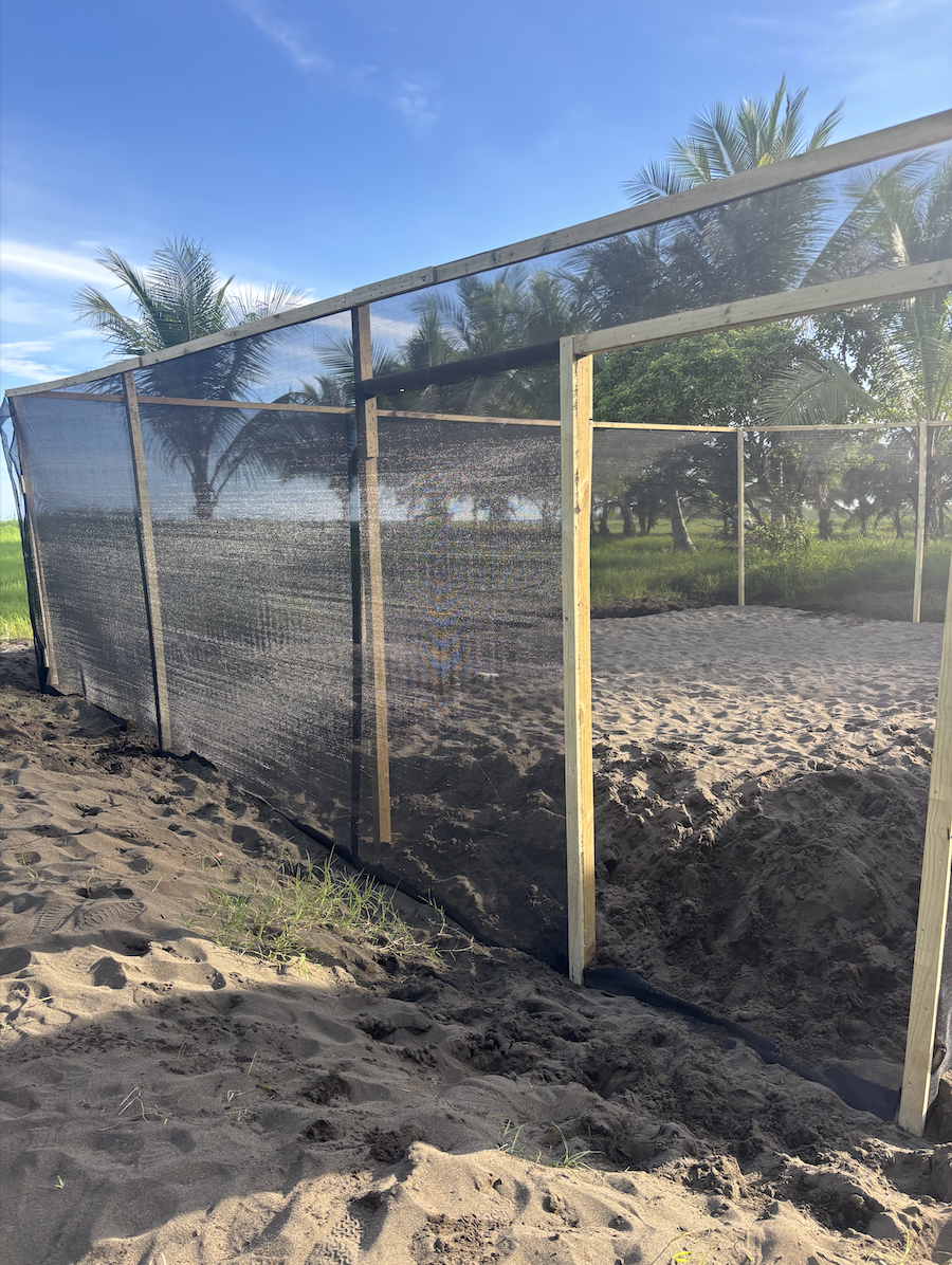 Hatchery news 2