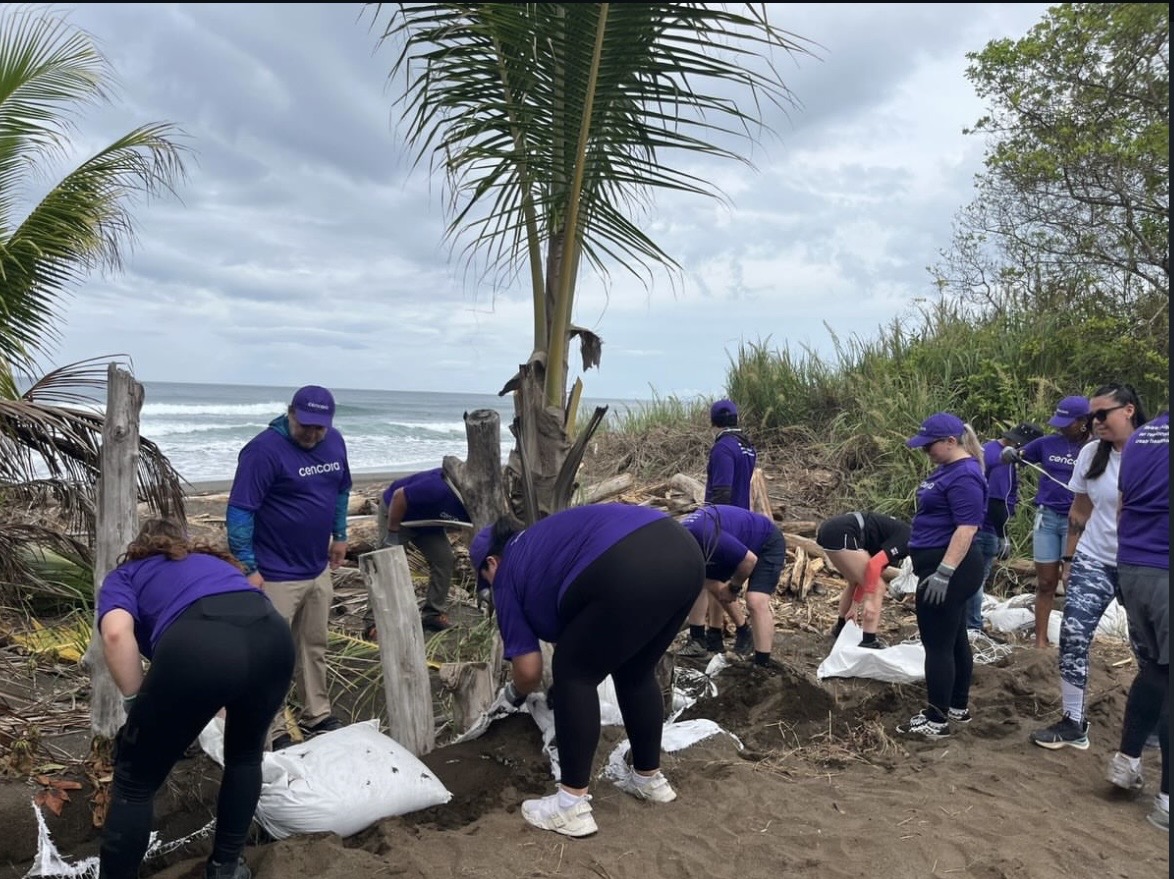 Beach clean up picture