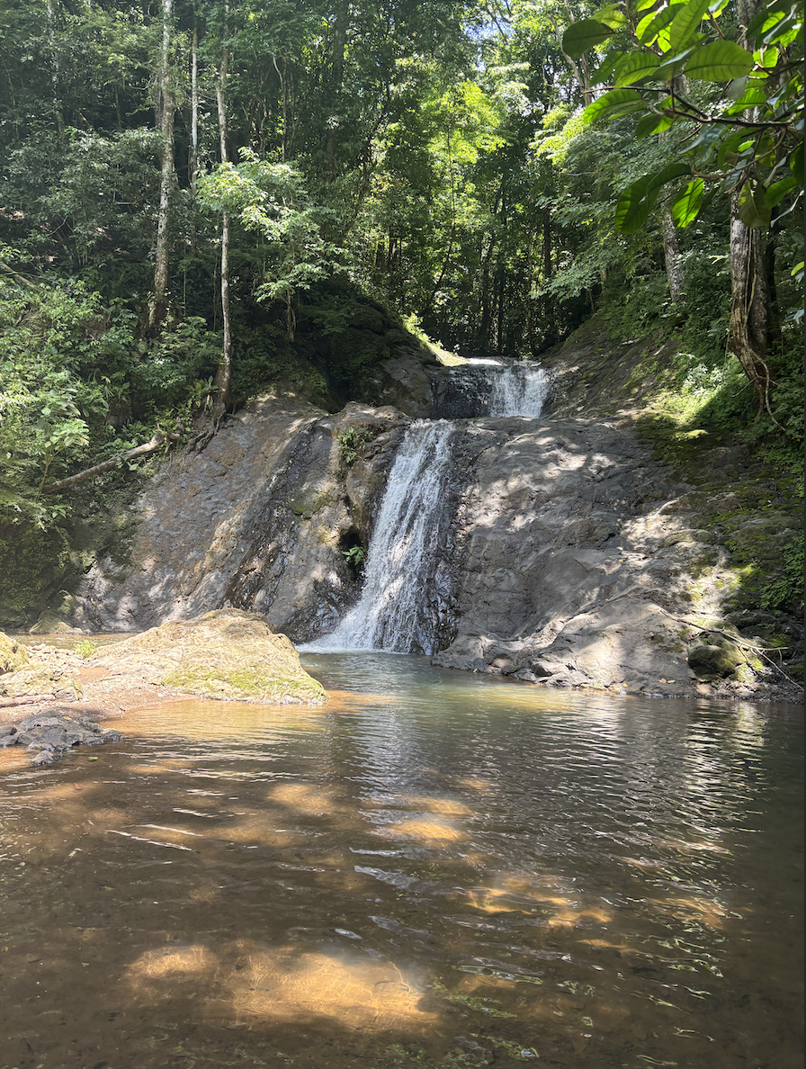 waterfall tour 1  