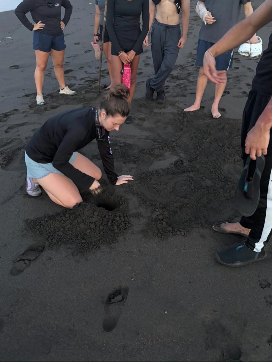 Volunteer training for a sea turtle beach patrol